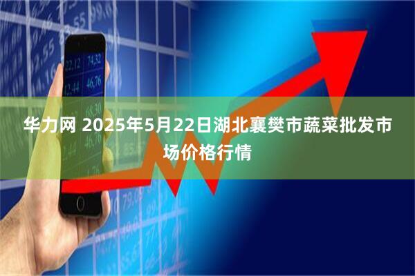 华力网 2025年5月22日湖北襄樊市蔬菜批发市场价格行情