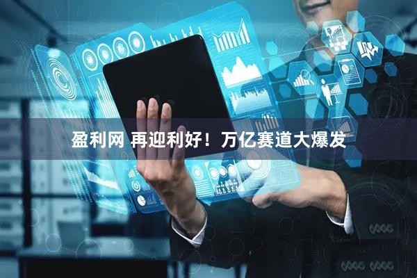 盈利网 再迎利好！万亿赛道大爆发