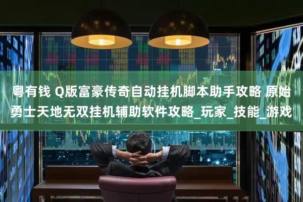 粤有钱 Q版富豪传奇自动挂机脚本助手攻略 原始勇士天地无双挂机辅助软件攻略_玩家_技能_游戏