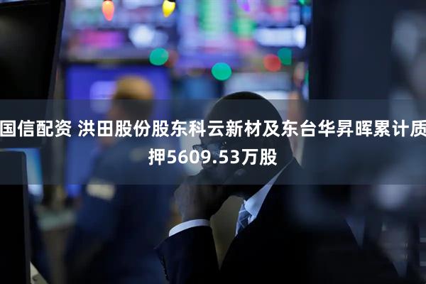 国信配资 洪田股份股东科云新材及东台华昇晖累计质押5609.53万股